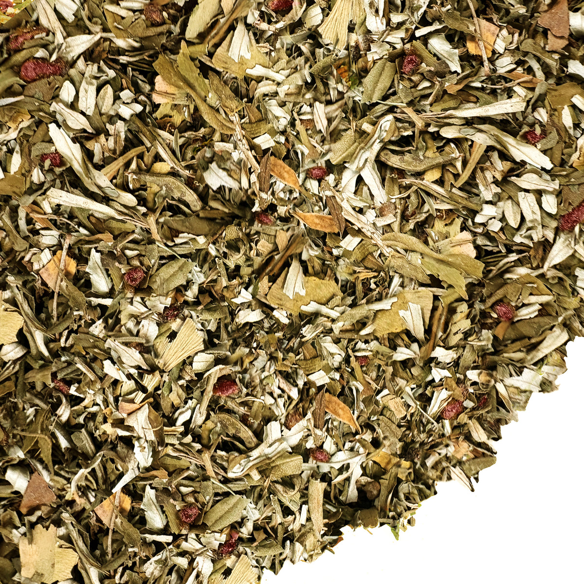 Siberian Green Sea Buckthorn & Black Currant Leaf Tea - 100g Sun-Dried Herbal Blend