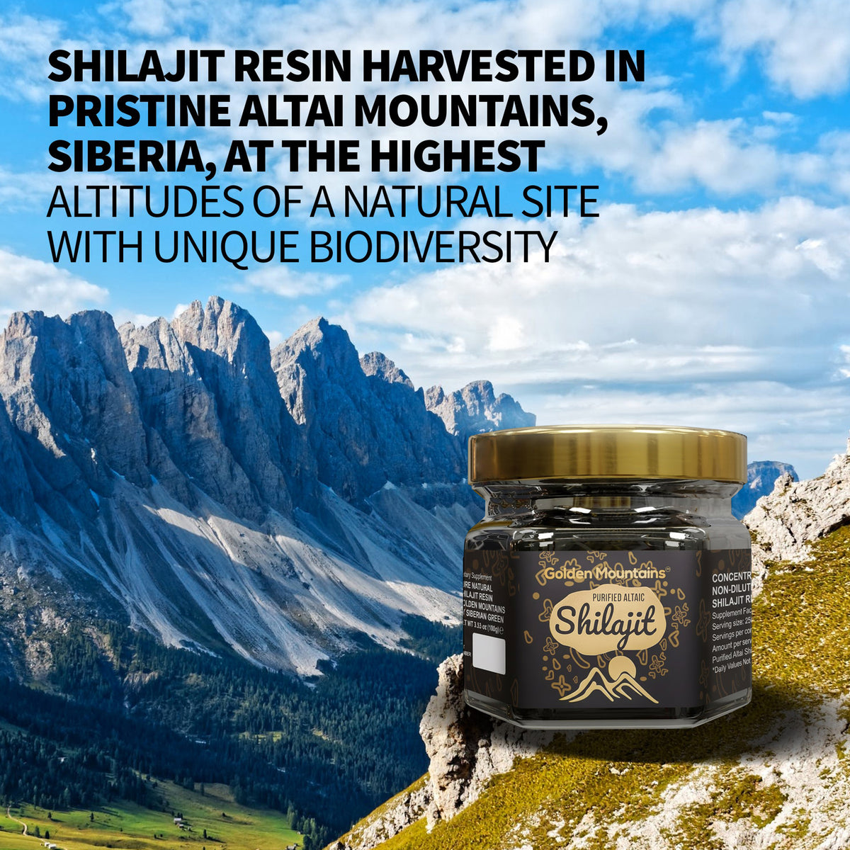 Resina de Shilajit de las Montañas Doradas - Puro Poder Siberiano de Altai