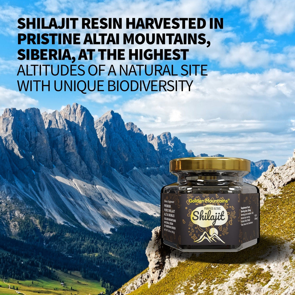 Golden Mountains Shilajit Resina Premium Pura Auténtica Altai Siberiana 100g - Cuchara Medidora - Certificado de Calidad Exclusivo